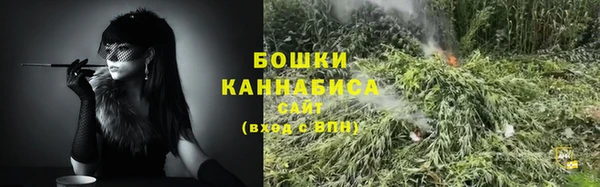 прущие грибы Новокубанск