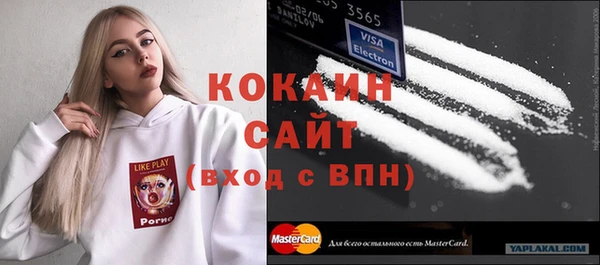 СК Новозыбков