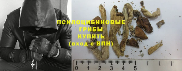 СК Новозыбков