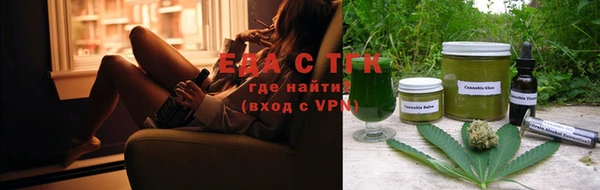 СК Новозыбков