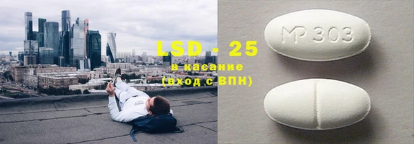 прущие грибы Новокубанск