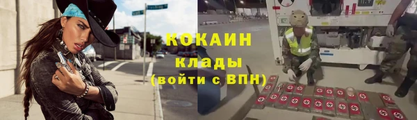 СК Новозыбков