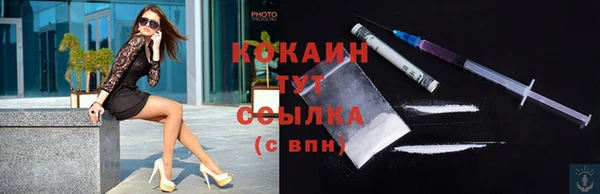 прущие грибы Новокубанск
