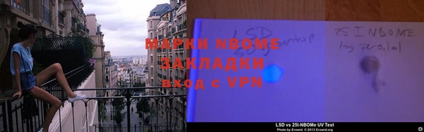 прущие грибы Новокубанск
