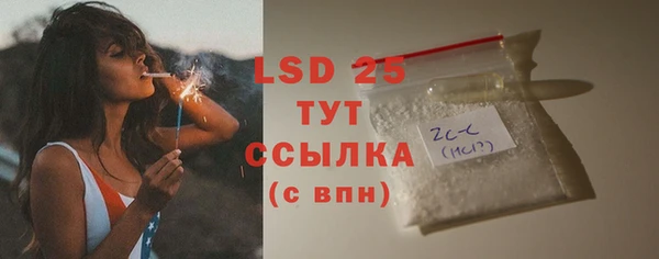 прущие грибы Новокубанск
