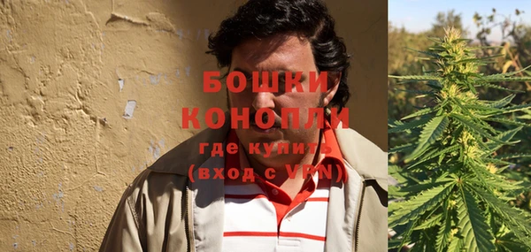 прущие грибы Новокубанск