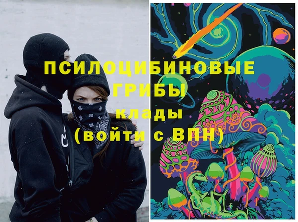 СК Новозыбков