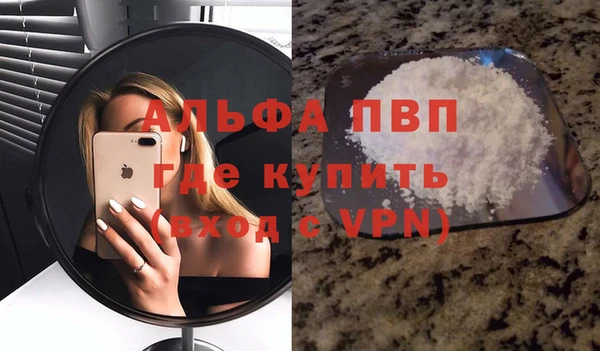 СК Новозыбков