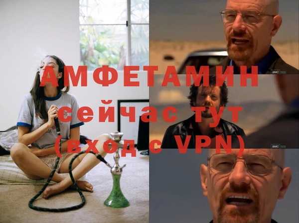 прущие грибы Новокубанск