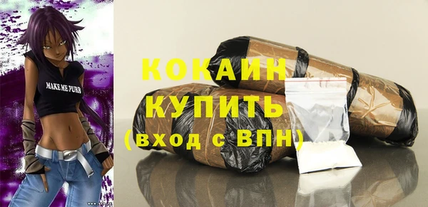 прущие грибы Новокубанск