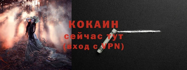 ПСИЛОЦИБИНОВЫЕ ГРИБЫ Новодвинск